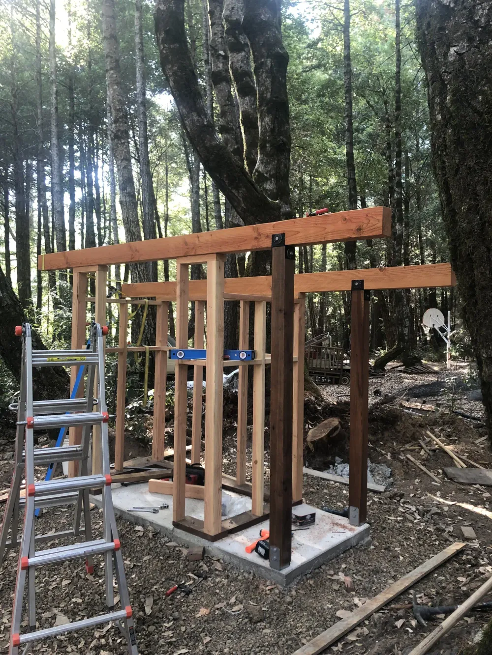 A shed (in the woods) image